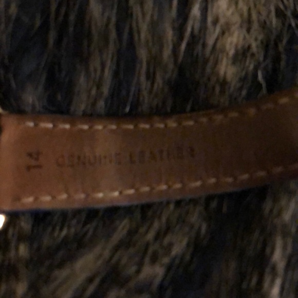 Fossils watch - Picture 5 of 7